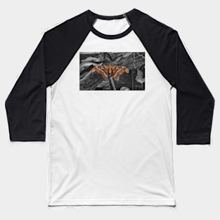 African Moth Baseball T-Shirt